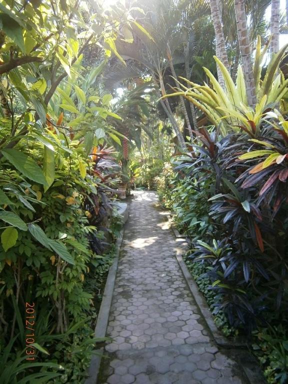 Adus Beach Inn Legian Exteriér fotografie